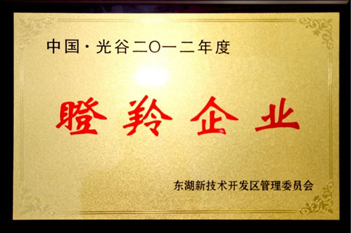 人Ǯqg777ɹѡ2012ȵҵ