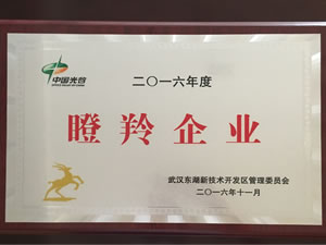 人Ǯqg777ѡ2016ꡰҵ